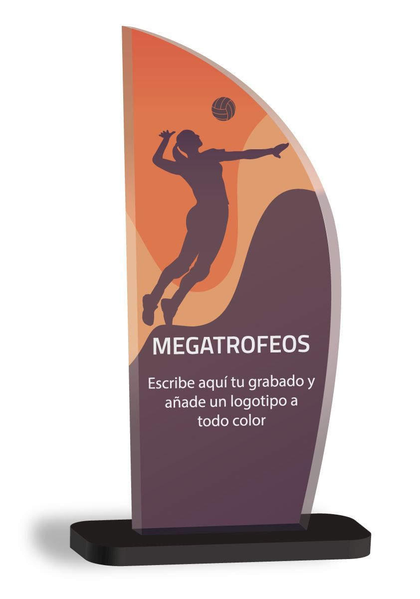 Trofeo de Voleibol en metacrilato