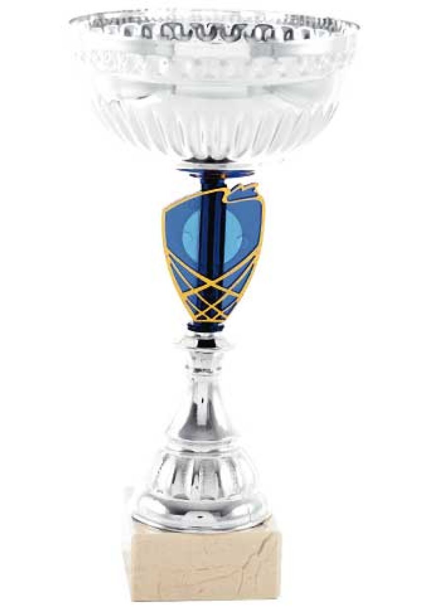 Trofeo portadisco azul y oro