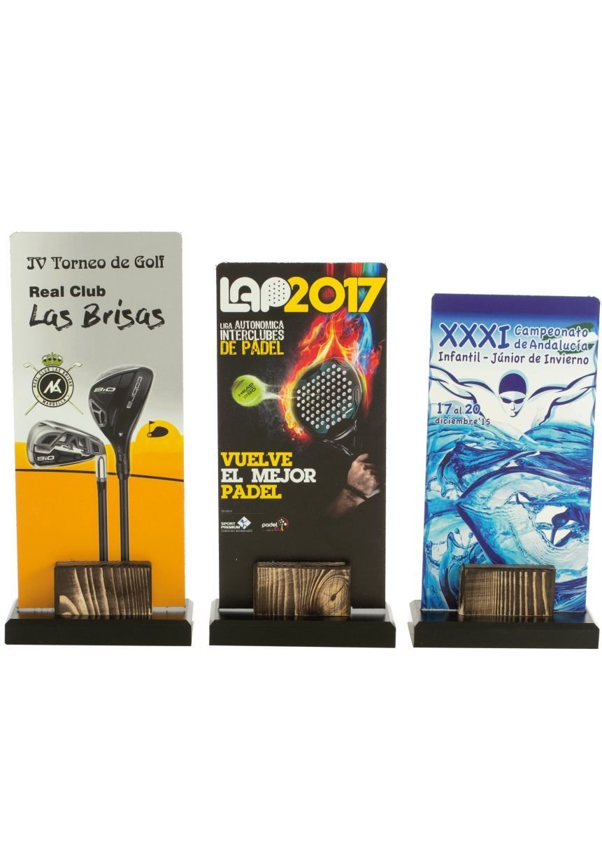 Trofeo de aluminio forma rectangular con peana de madera