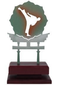 Karate trophy in metal/wood