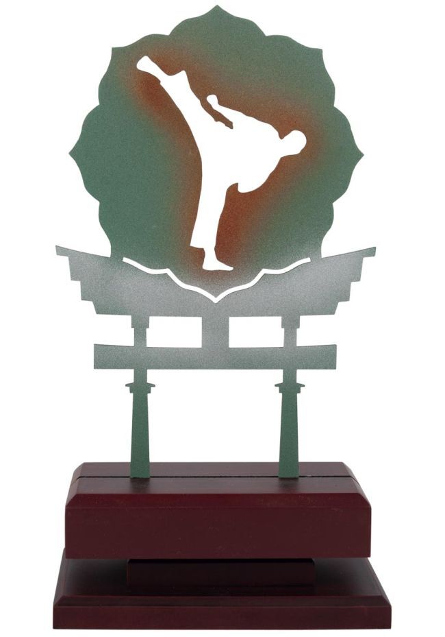 Karate trophy in metal/wood