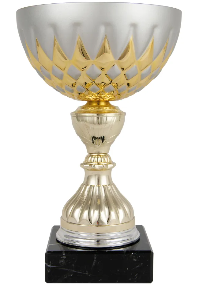 Coupe de balle bicolore Or/Argent