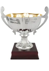 Trofeo copa bicolor ensaladera plata asas