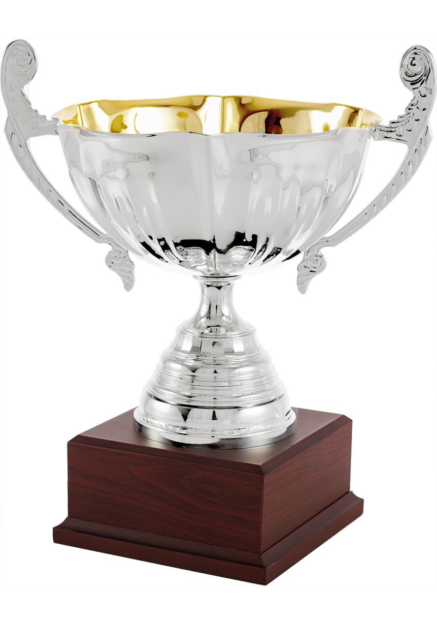 Trofeo copa bicolor ensaladera plata asas
