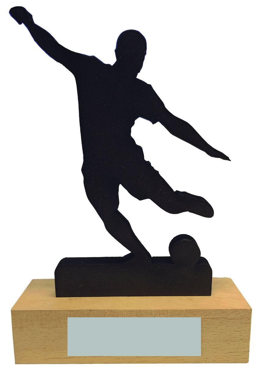 Trofeo de Madera todos los deportes