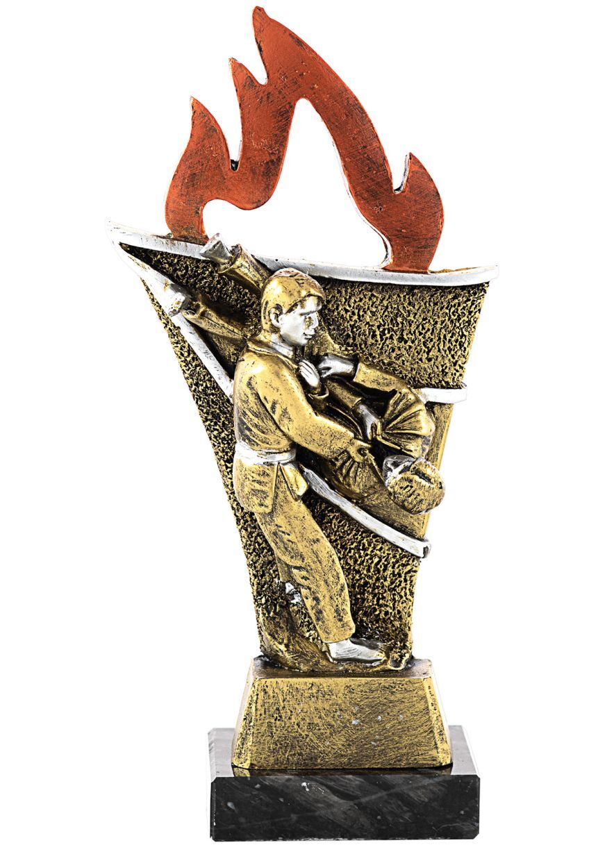 Trofeo Antorcha Judo