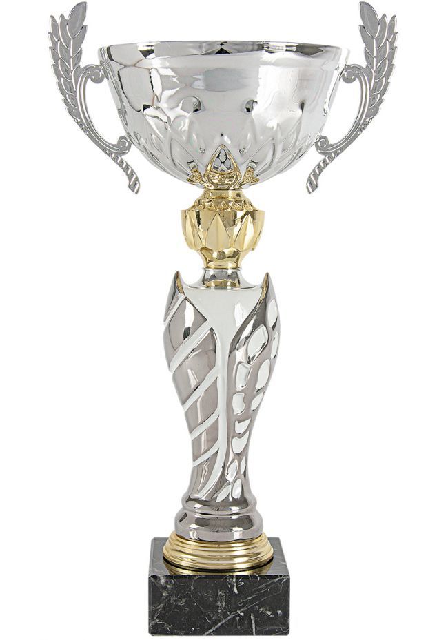 Entwined Silver Cup