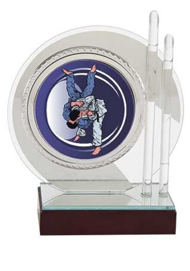 Trofeo de judo circular