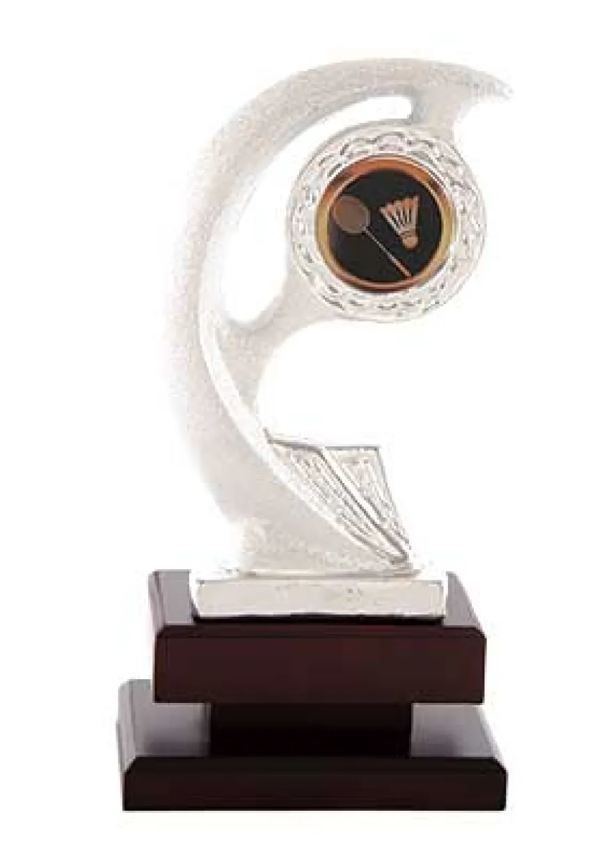 Trofeo resina plateado