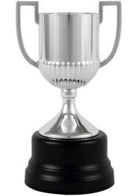 Trofeo copa del rey de fútbol