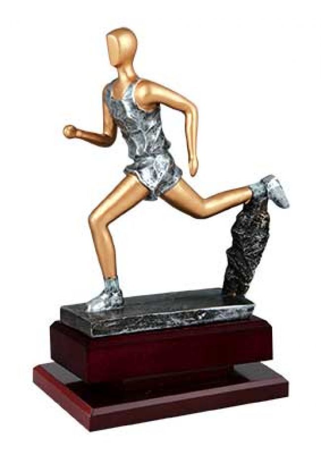 Trofeo de cross serie elite plata y oro Trofeo de cross serie elite plata y oro