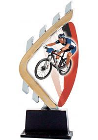 Mountainbike trofeo di perspex