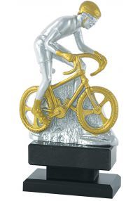 Bordo oro argento in bicicletta