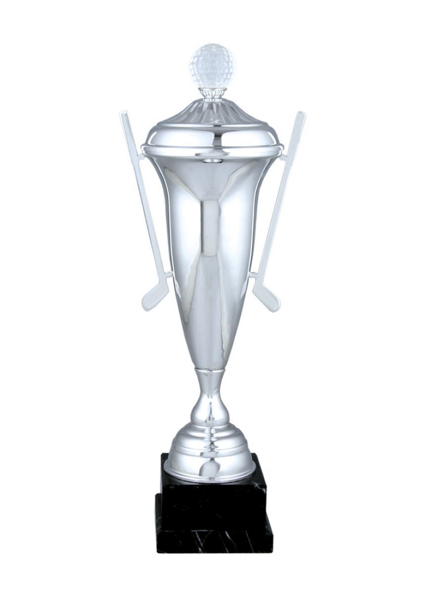 Trofeo golf , pelota y palos