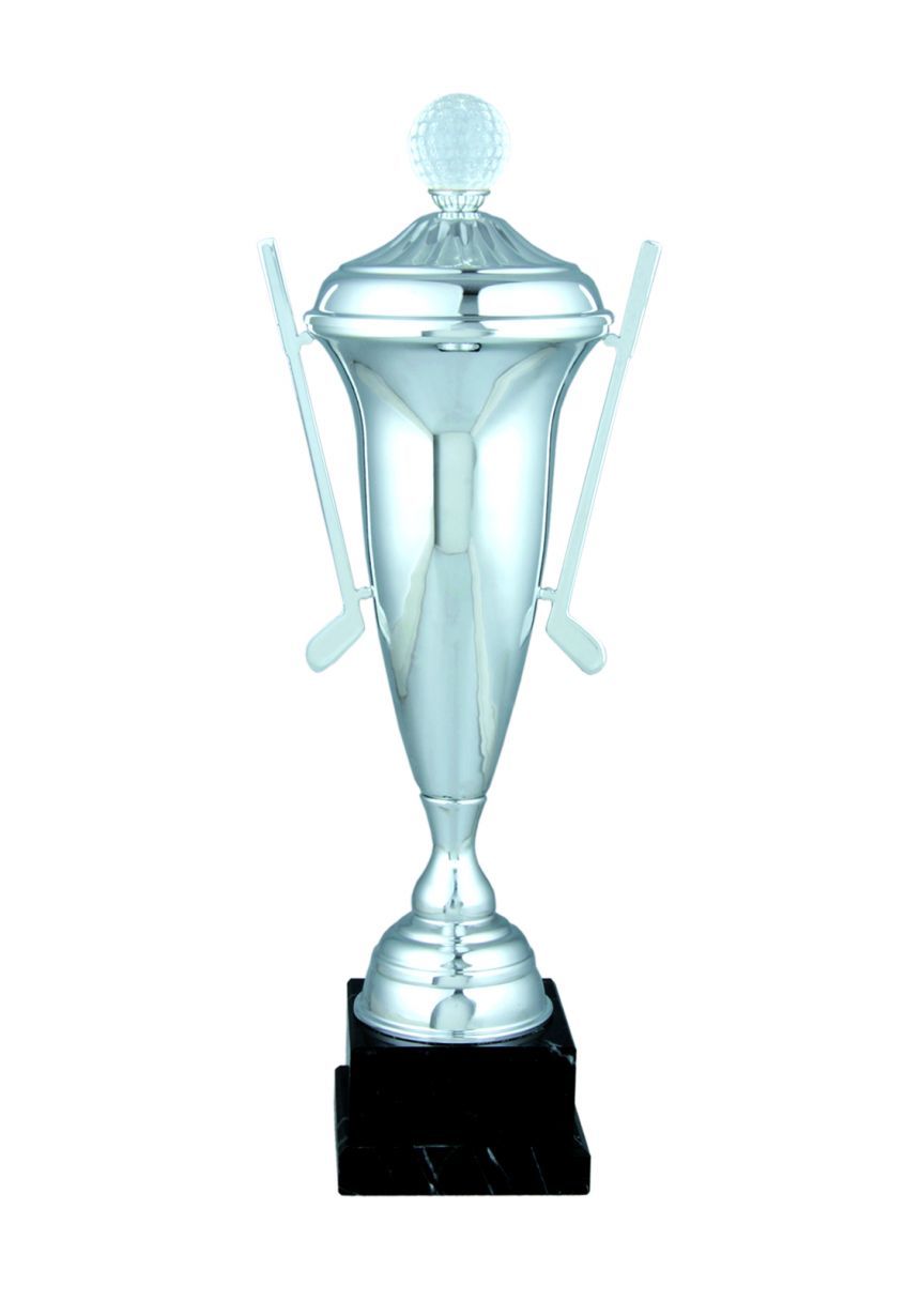 Trofeo golf , pelota y palos