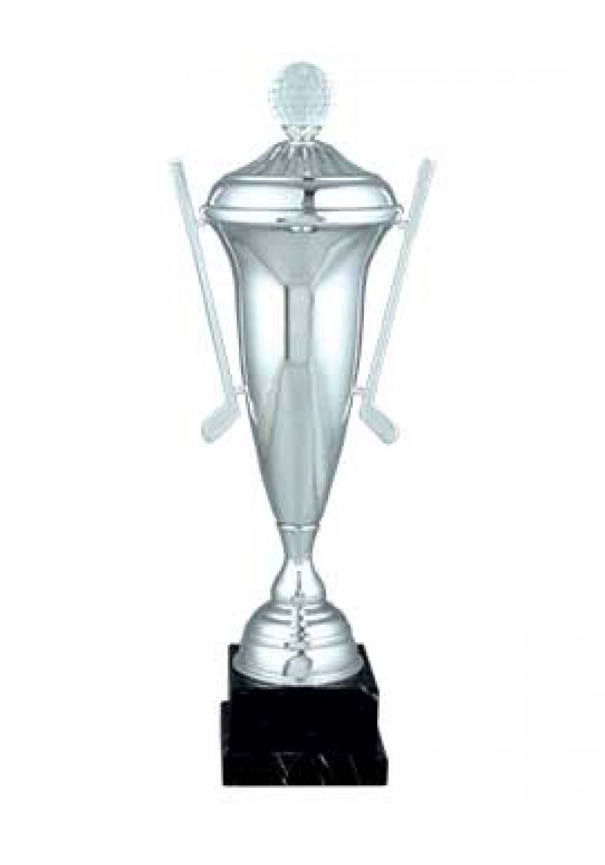 Trofeo golf , pelota y palos