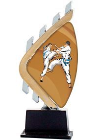 Figure judo on marble stand