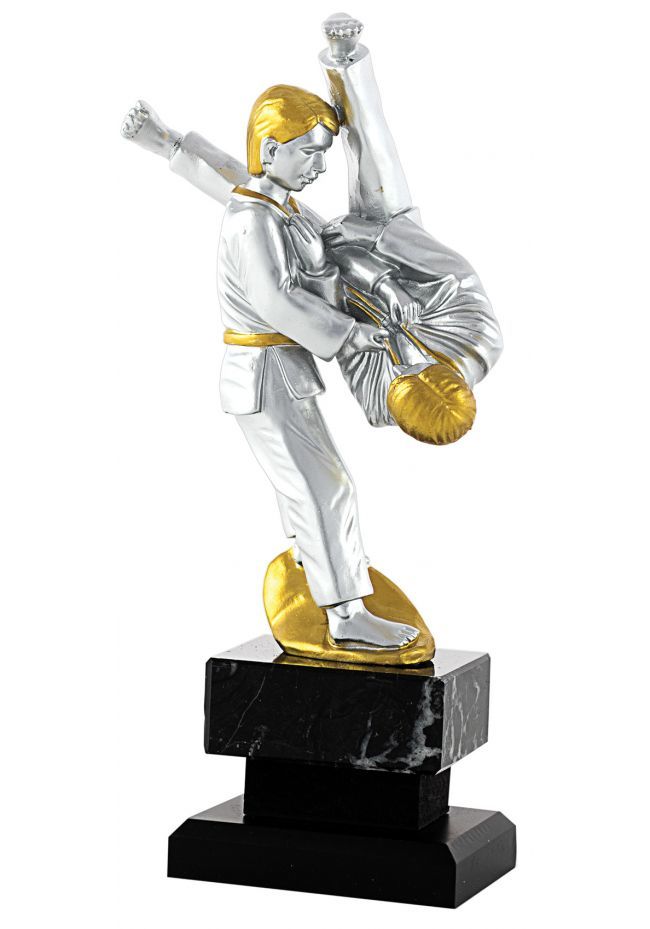 Trofeo de Judo con figura plata y oro