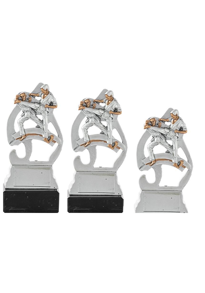 Trofeo de karate con figura deportiva