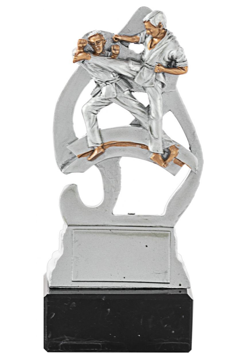 Trofeo de karate con figura deportiva
