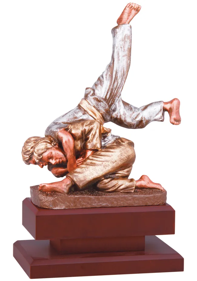 Karaté argent et d'or série d'élite