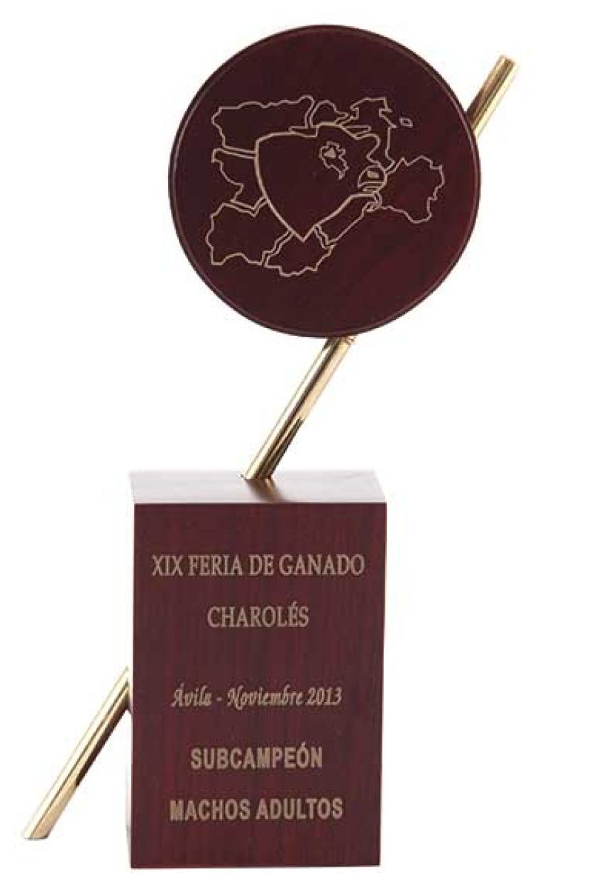 Trofeo de madera cuerpo prisma metal circulo