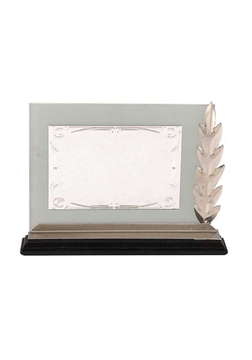 Placa de homenaje especiales forma rectangular cristal placa aluminio