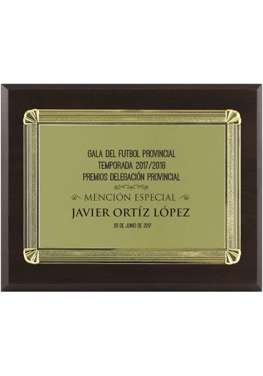 Placa de homenaje especiales forma rectangular aluminio