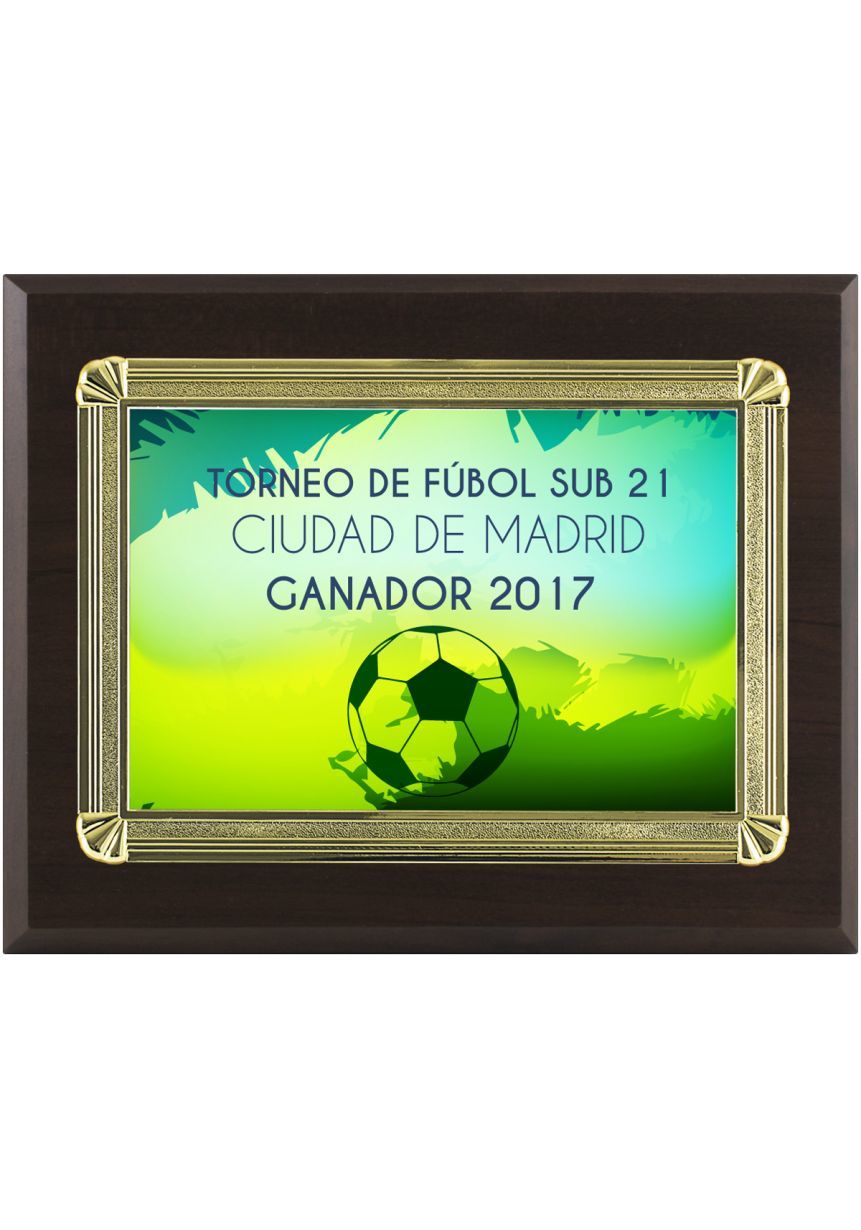 Placa de homenaje especiales forma rectangular aluminio