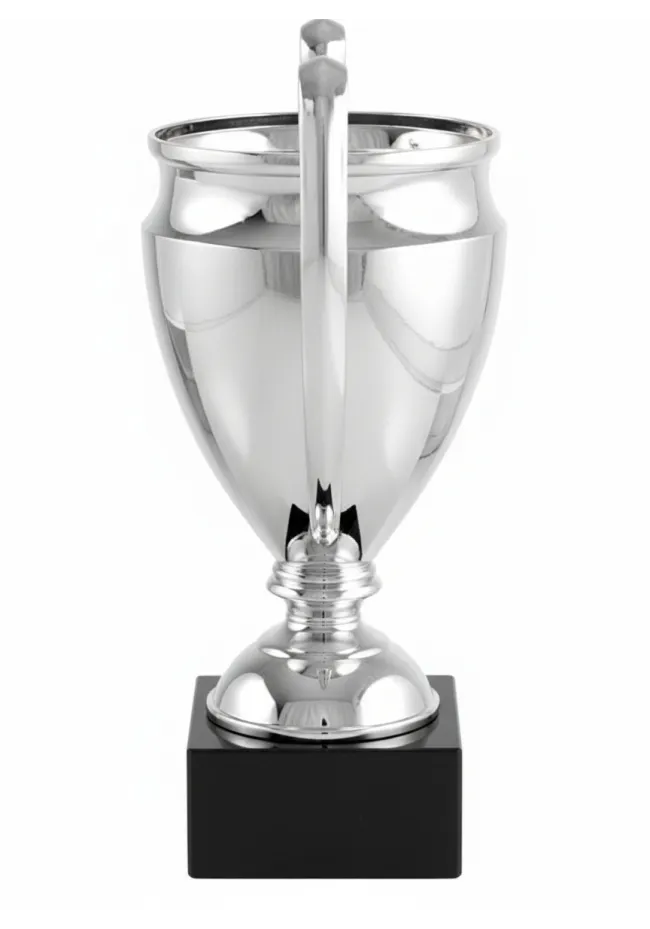 Mini replica European Cup