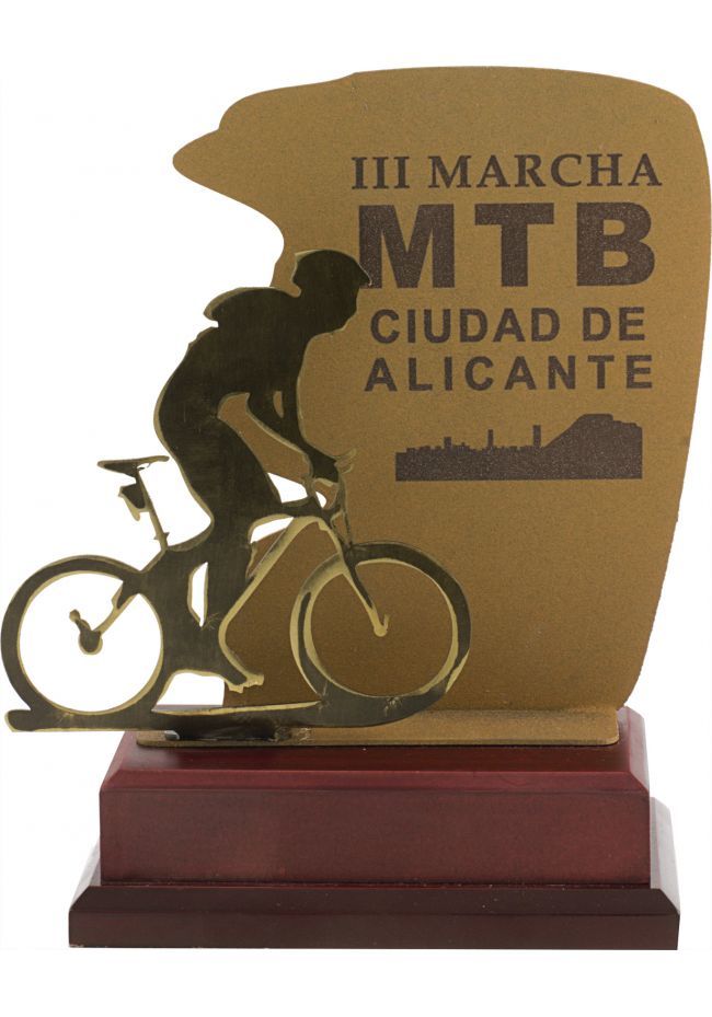 Trofeo metal mountainbike